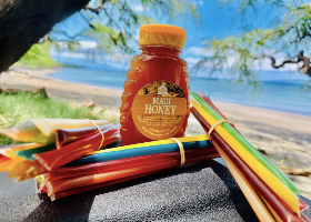 HONEY STIX BUNDLE